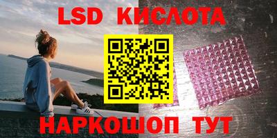 прущие грибы Можайск