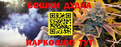 ешки Можга