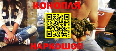 прущие грибы Можайск